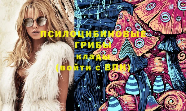 дживик Арсеньев