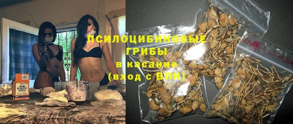 дживик Арсеньев