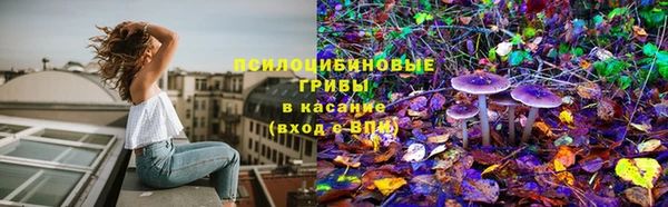 прущая мука Пролетарск