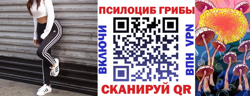 хочу   Холмск  Галлюциногенные грибы Psilocybe 